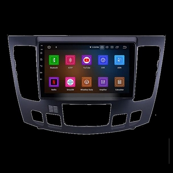 Monitor cercive hyundai sonota 2008